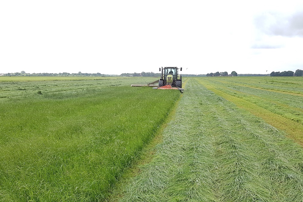 Goed gras is erg waardevol