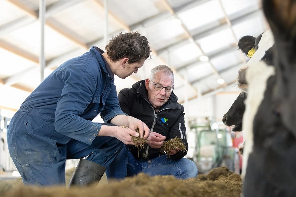 Het puntje op de i met Bonsilage