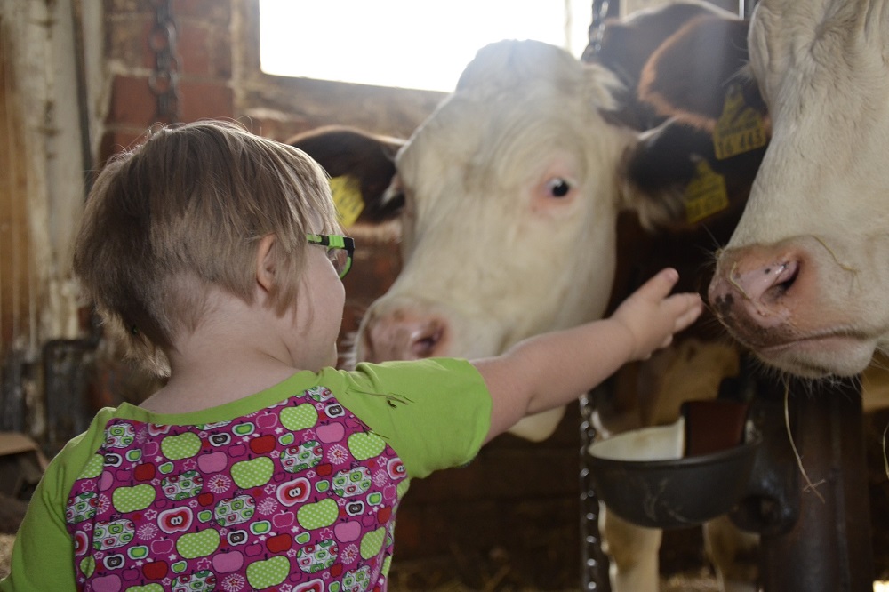 Campina open boerderijdagen: staldeuren open voor publiek