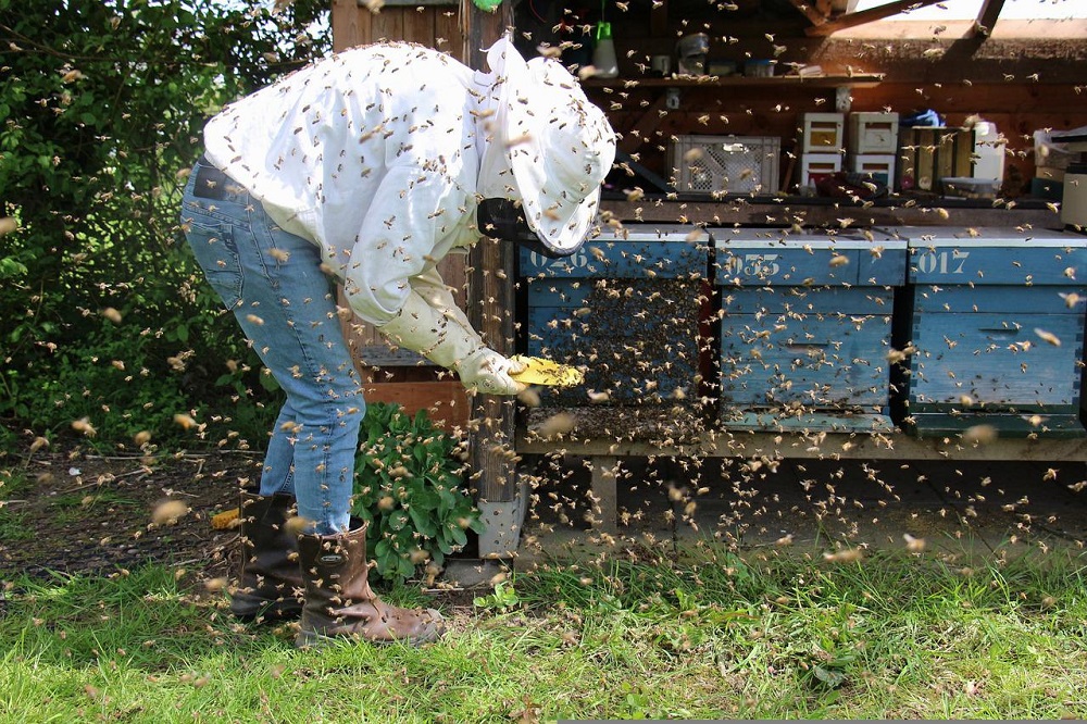 Royal A-ware wil biodiversiteit vergroten met bijenkasten