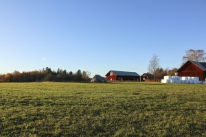 Zweden biedt steun aan boeren wegens hoge energieprijzen