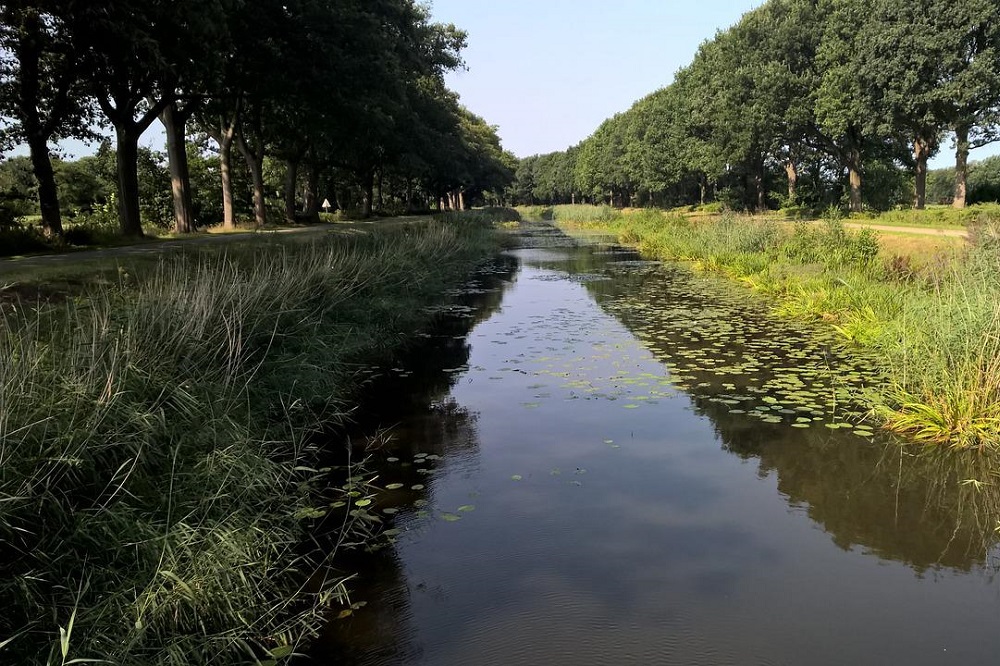 Overijssel wil PAS-melders te hulp schieten