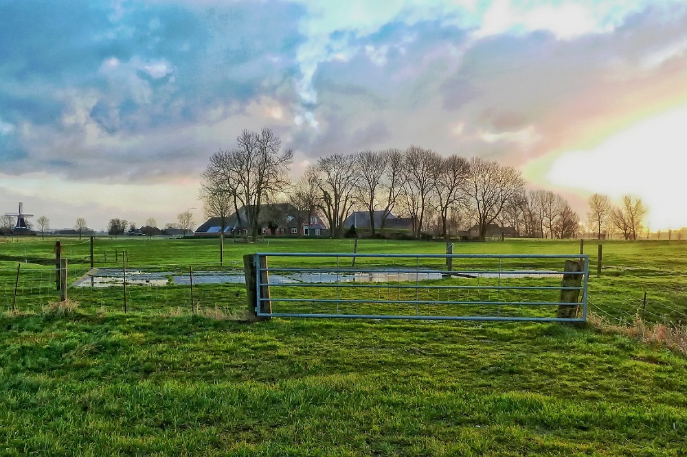 Boeren dreigen af te haken bij complexe Nederlandse invulling GLB