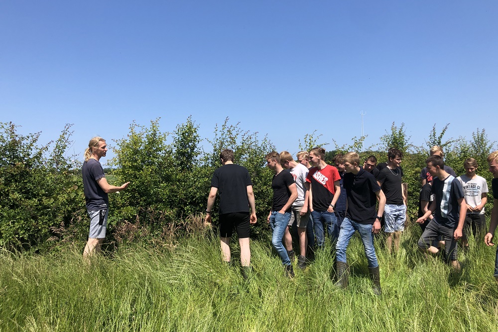 Boeren met Bomen van start: zit er toekomst in Agroforesty?