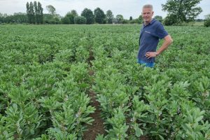 Hofmeijer Loonwerkbedrijf onderzoekt teelt van 22 (eiwitrijke) gewassen