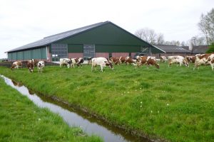 Boer en burger welkom op speciale open (beleef)dag in Jirnsum 