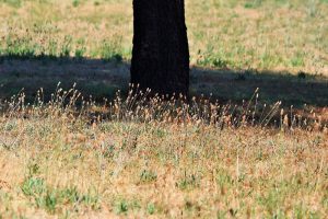 Water moet worden verdeeld door aanhoudende droogte