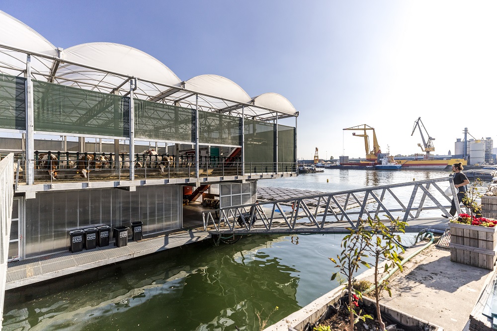 Minke en Peter van Wingerden zijn de bedenkers van ‘The Floating Farm’ en hun reis is nog lang niet ten einde. “De volgende Floating Farm zal een veelvoud van 55 koeien moeten kunnen huisvesten. We hebben al aanvragen voor ons concept vanuit Singapore.” 