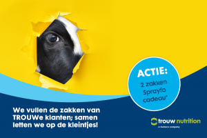 Het verschil tussen een bolus en koedrank