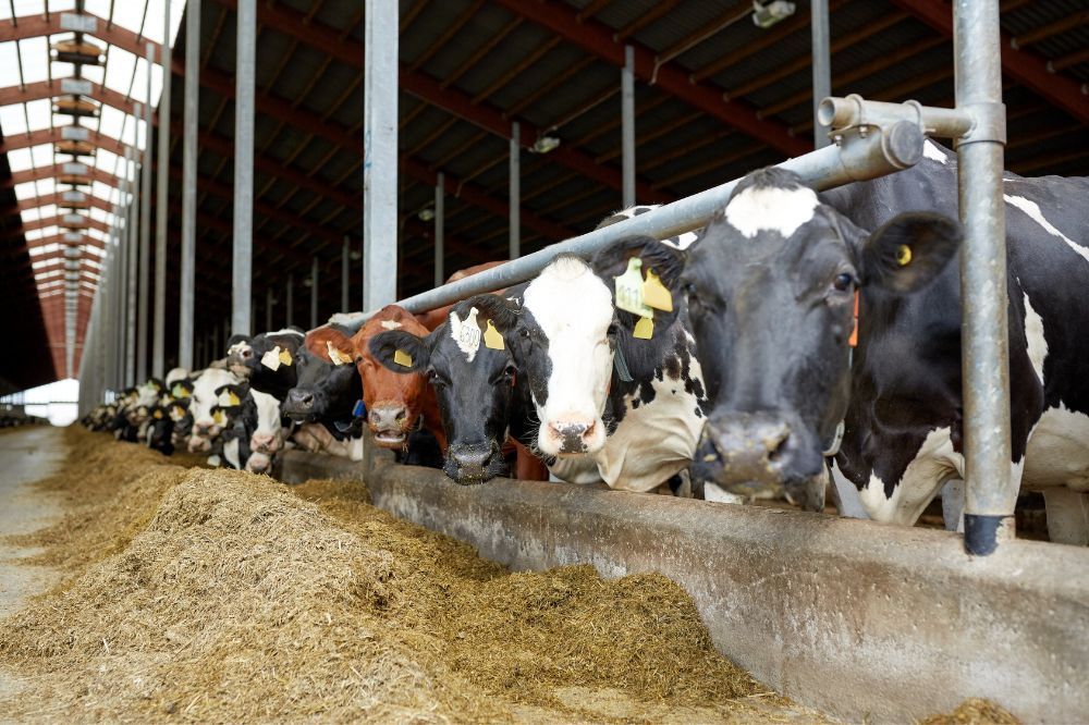 Kosten nieuwbouw in in twee jaar bijna