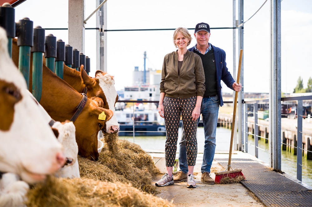 Floating farm: koeien op het water in Rotterdamse haven