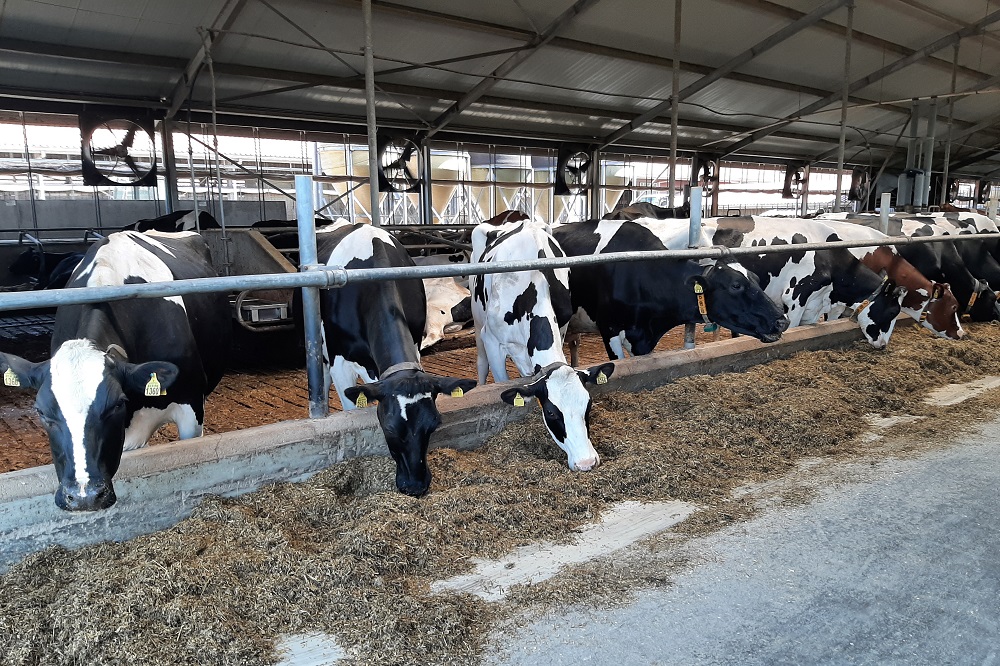 Overname DairyLive door UNIFORM-Agri