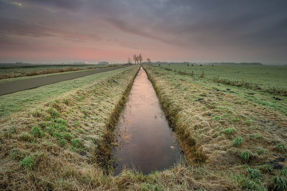 Ecologisch slootschonen in veenweide