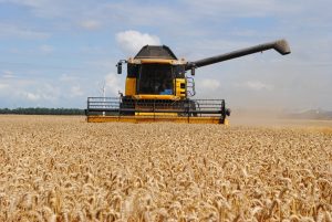 Grondstoffenmarkt: graanprijs daalt, gemixte reacties bijproducten