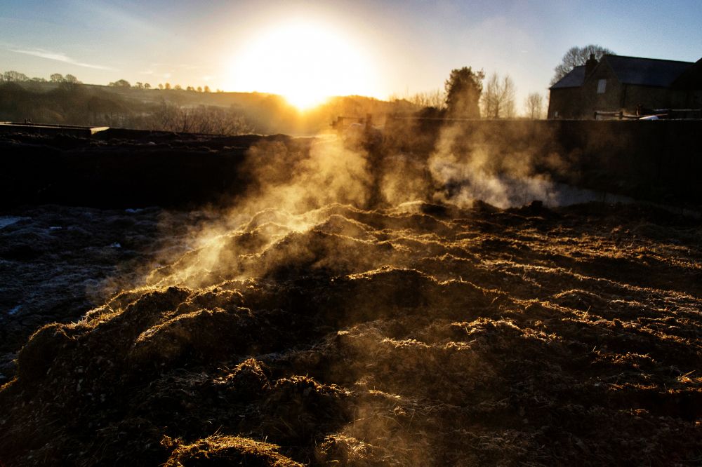 Nieuwe inzichten rondom verschillende soorten mest samengevat