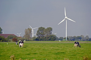 Interview - Waterstofproductie: 'nu nog niet, maar in de nabije toekomst wel'