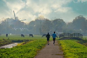 27 miljoen euro nodig voor verduurzaming veehouderij in zes provincies