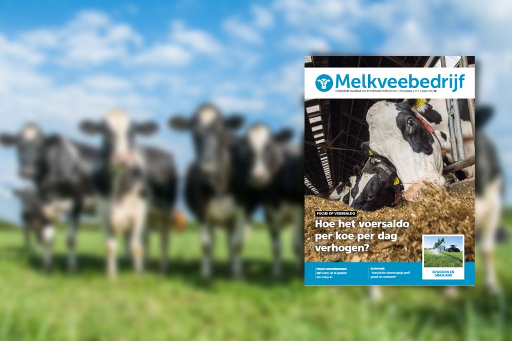 Nieuwste editie Melkveebedrijf in het teken van grasland en beweiding