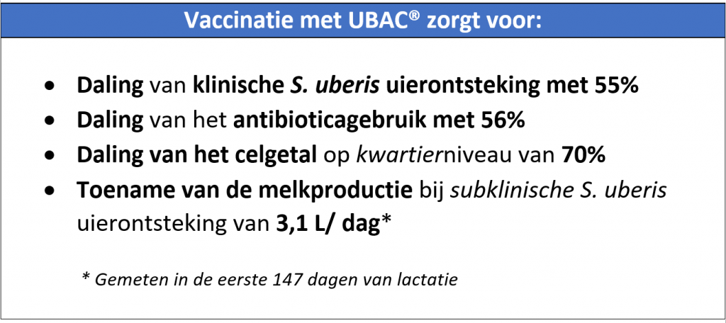 Wat kan ik doen tegen Streptococcus Uberis mastitis-28212