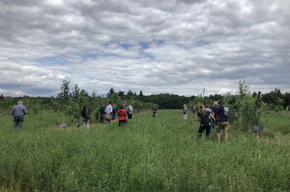 Agroforestry-project van start in de Haarlemmermeer