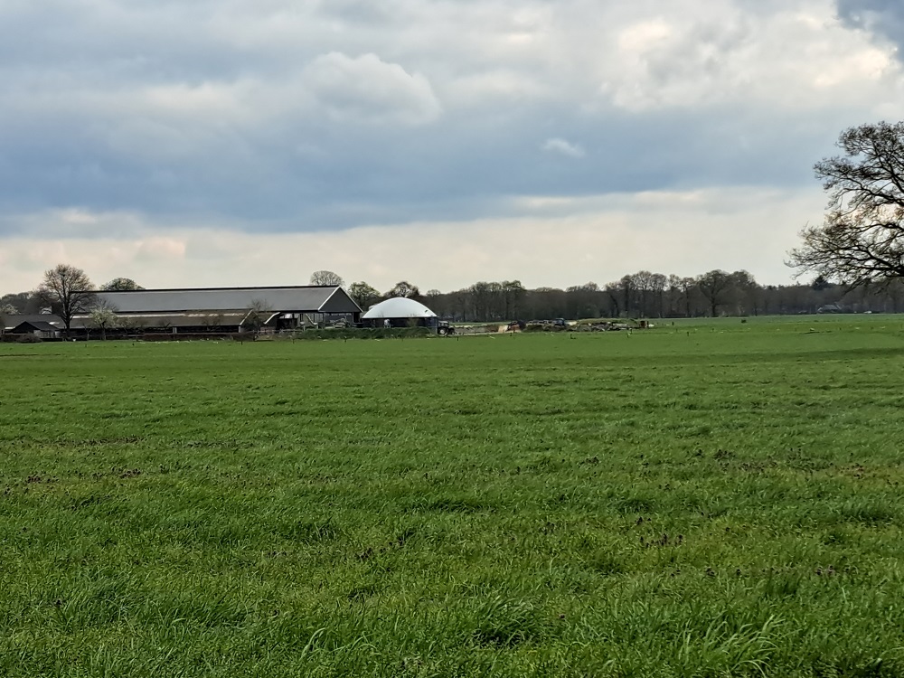 In de buurtschap Oxe bij Deventer zijn bij vijf melkveehouders de afgelopen jaren monomestvergisters geplaatst. Samen vormen zij de biogashub ‘Oxe geeft gas’.