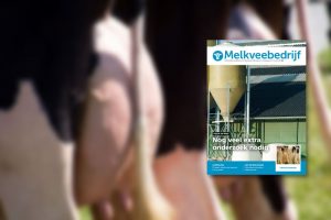 Uiergezondheid in de spotlights in het nieuwste nummer van Melkveebedrijf