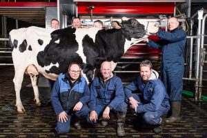 Melkveebedrijf - De Heus - Voorbereiding cruciaal voor overgang op melkrobots