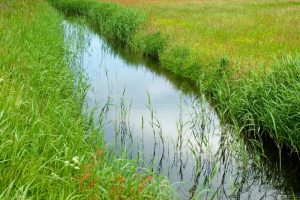 Melkveebedrijf - Hoe verdien je geld met beter waterbeheer