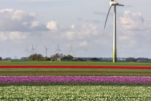 Melkveebedrijf - Investeren in een duurzamer en vitaler Flevoland