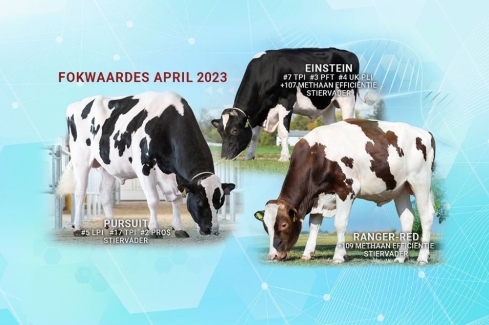 Melkveebedrijf - Semex publiceert indexdraai april 2023