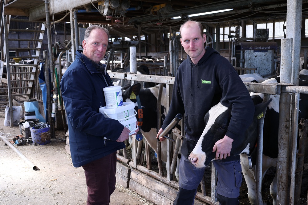 Melkveebedrijf & AHV - Goede transitie basis voor succesvolle lactatie Wij streven naar vijf minuten-koeien