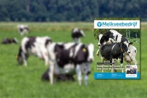 Melkveebedrijf - Alles over vruchtbaarheid en inseminatie in het nieuwste Melkveebedrijf-nummer