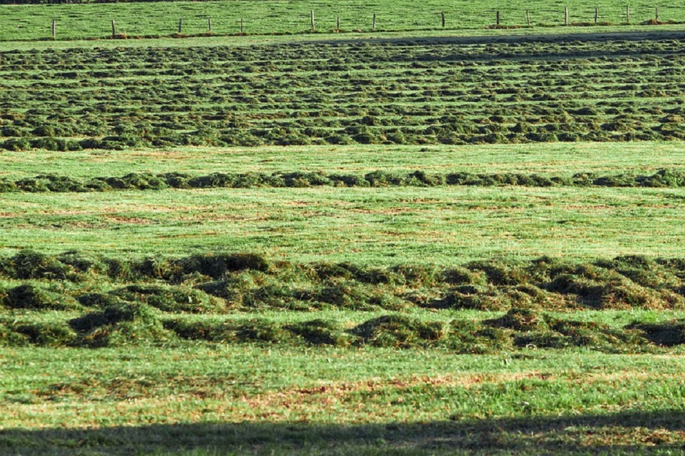 Emissies verminderen door zwaarte van grassnede