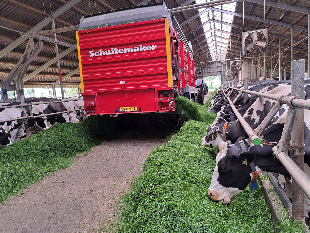 Minne Jansma draait met de Rapide 75 vers gras voor de koeien. De wagen is geschikt voor het halen van vers gras en voor inkuilen, maar ook als voerwagen voor het winterrantsoen.