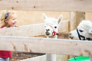 Voor de derde keer 'Boeren en tuinders pakken uit in de zomer'