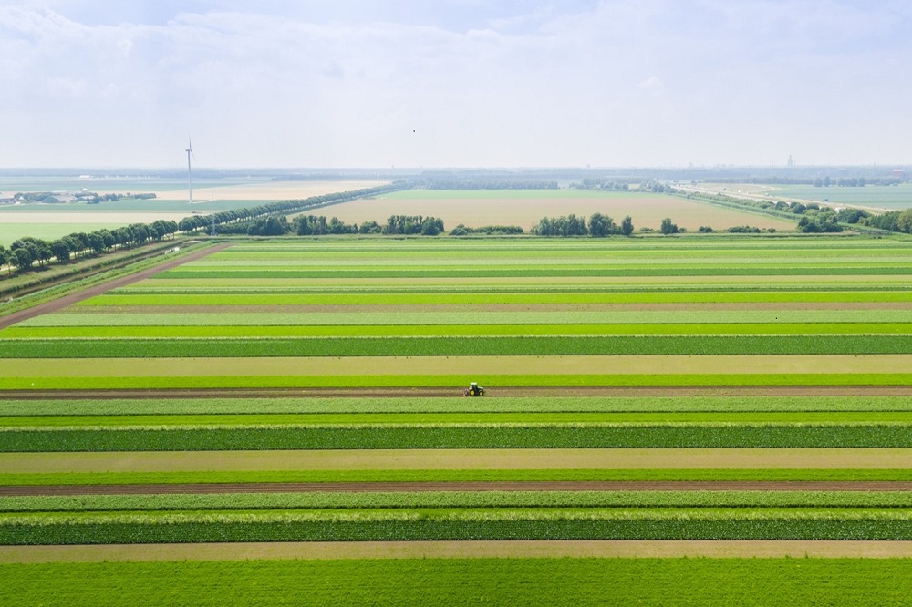 Gecombineerde opgave