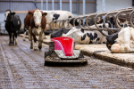 Lely Discovery 90 SW (open vloeren)