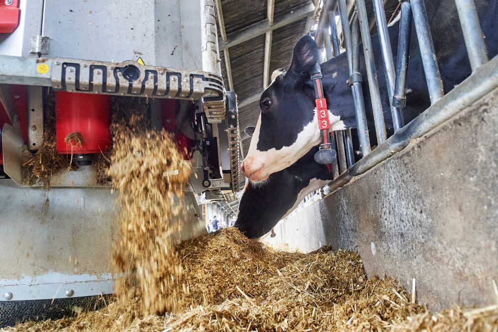 Lely Vector Het voer blijft koel, dat scheelt in de drogestofopname