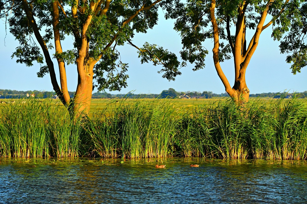 Praktijkproeven perceelafspoeling Flevoland gaan door in 2024