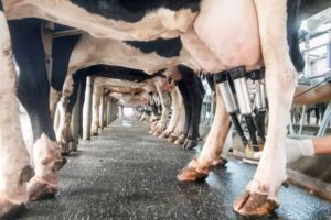 John Deere en DeLaval werken samen voor duurzame melkproductie
