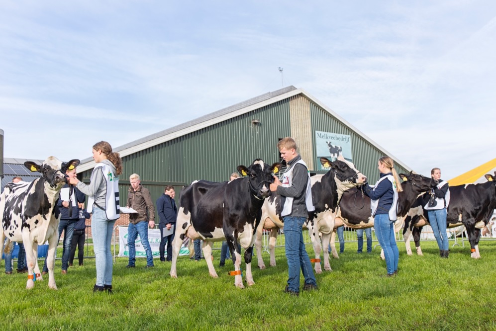 CRV organiseert NK Veebeoordelen op zaterdag 14 oktober