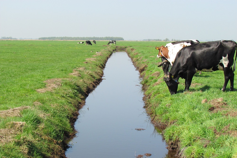 ZuivelNL vraagt melkveehouders weer om ideeën voor onderzoek