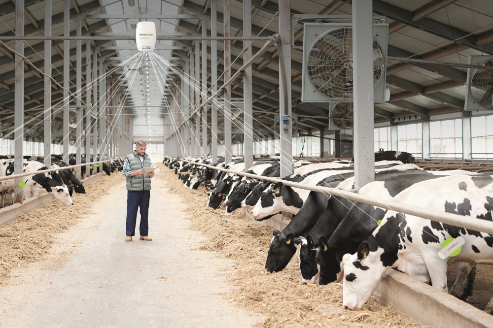 Mastitis snel opsporen met behulp van kunstmatige intelligentie