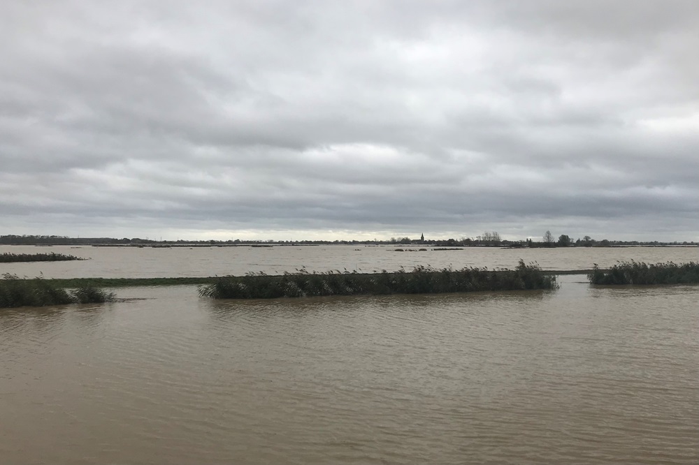 200 runderen laten het leven bij overstroming in Frankrijk