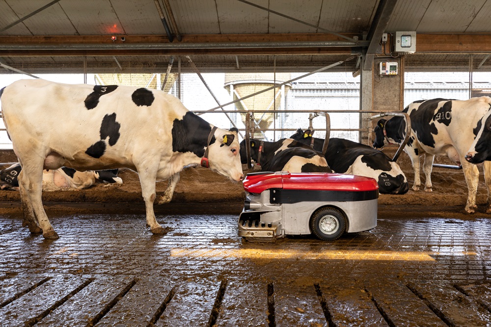 De nieuwe Lely Discovery Collector C2: een schone stalvloer