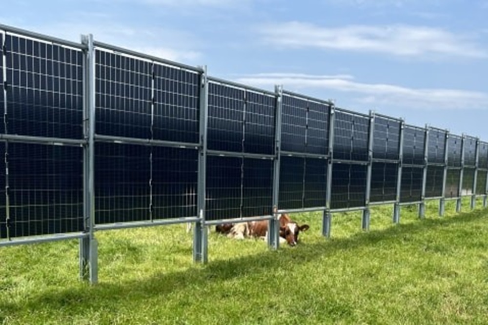 Onderzoek naar integratie grondgebonden zonnesystemen melkveehouderij