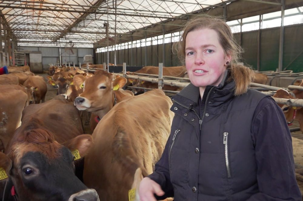 Jersey-boerin zoekt kansen voor haar melkveebedrijf