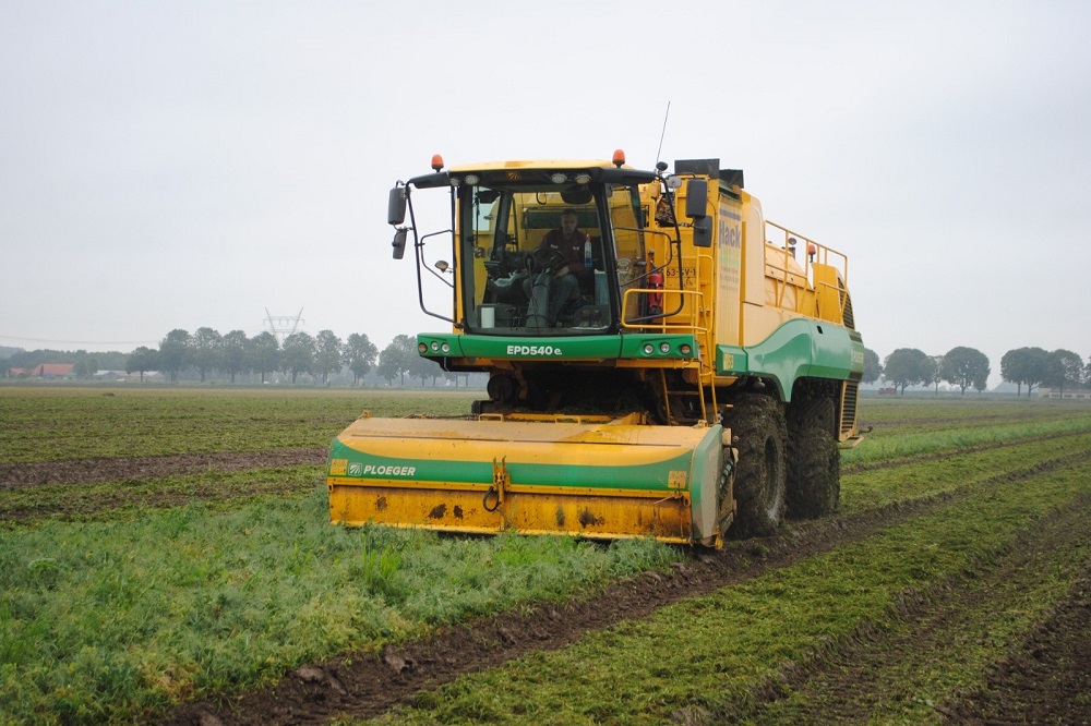 'Teelt van peulvruchten moet aantrekkelijker voor boeren'