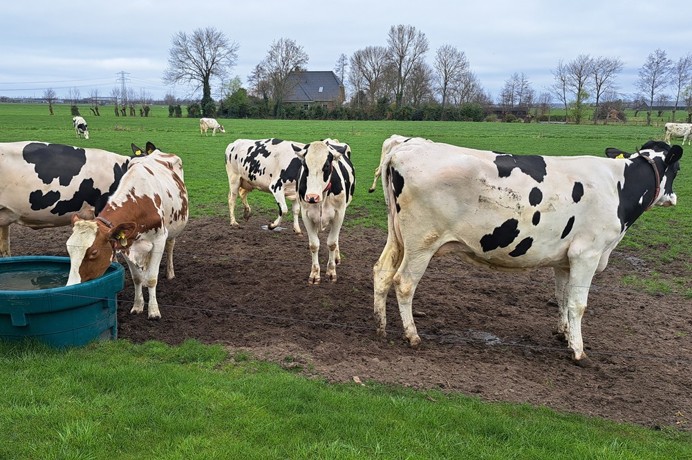 “Veel melkveehouders zijn al op weg zonder dat ze dit weten”