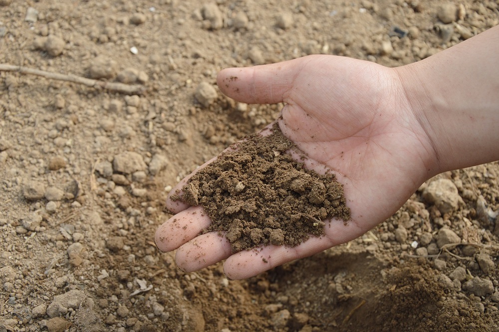 Schuurgesprekken over bodemkwaliteit en agro-diversiteit